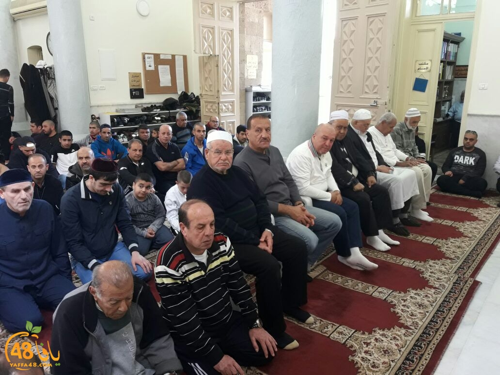 msjaed yaffa  (5).jpg